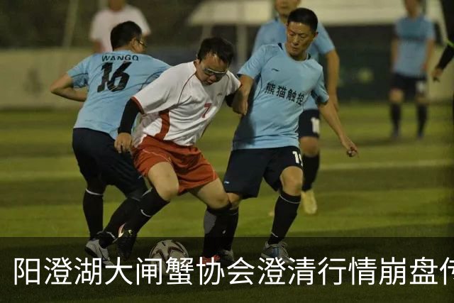 阳澄湖大闸蟹协会澄清行情崩盘传言：正宗阳澄湖大闸蟹供需平稳