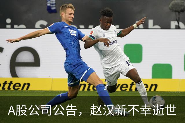 A股公司公告，赵汉新不幸逝世